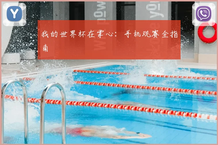 我的世界杯在掌心：手机观赛全指南